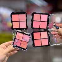 رژ گونه مخملی 4 رنگ دودوگرل