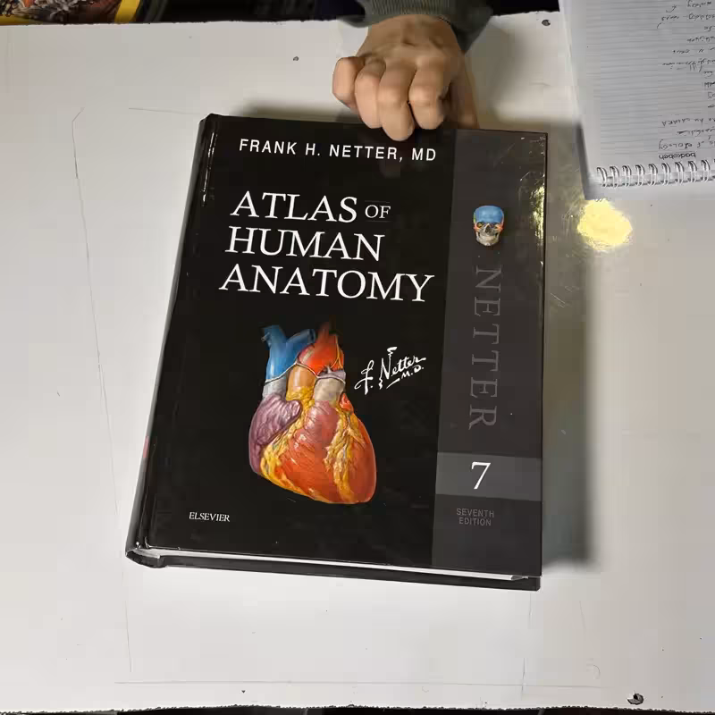 کتاب آناتومی انسان زبان اصلی مصور کمیاب | ATLAS HUMAN ANATOMY