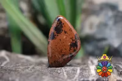ابسیدین ماهاگونی