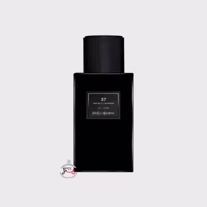 عطر ادکلن ایو سن لورن 37 رو د بلچاسه | yves saint laurent 37rue de bellechasse