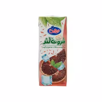 نکتار پرتقال توسرخ فروت لند میهن 200 میلی لیتری