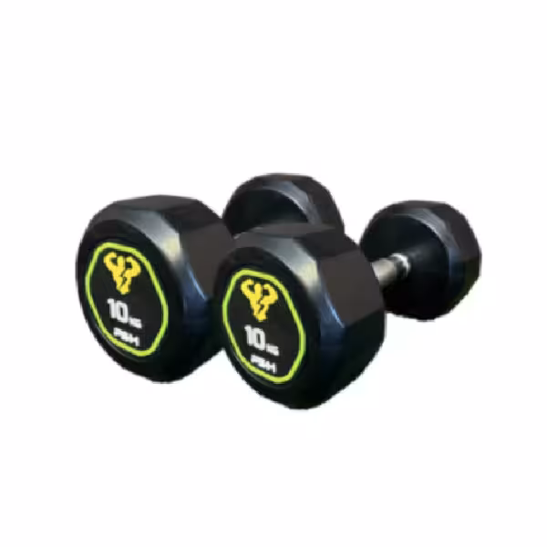 دمبل گرد وزن 10 کیلوگرم