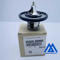 ترموستات جنیون 255002B000