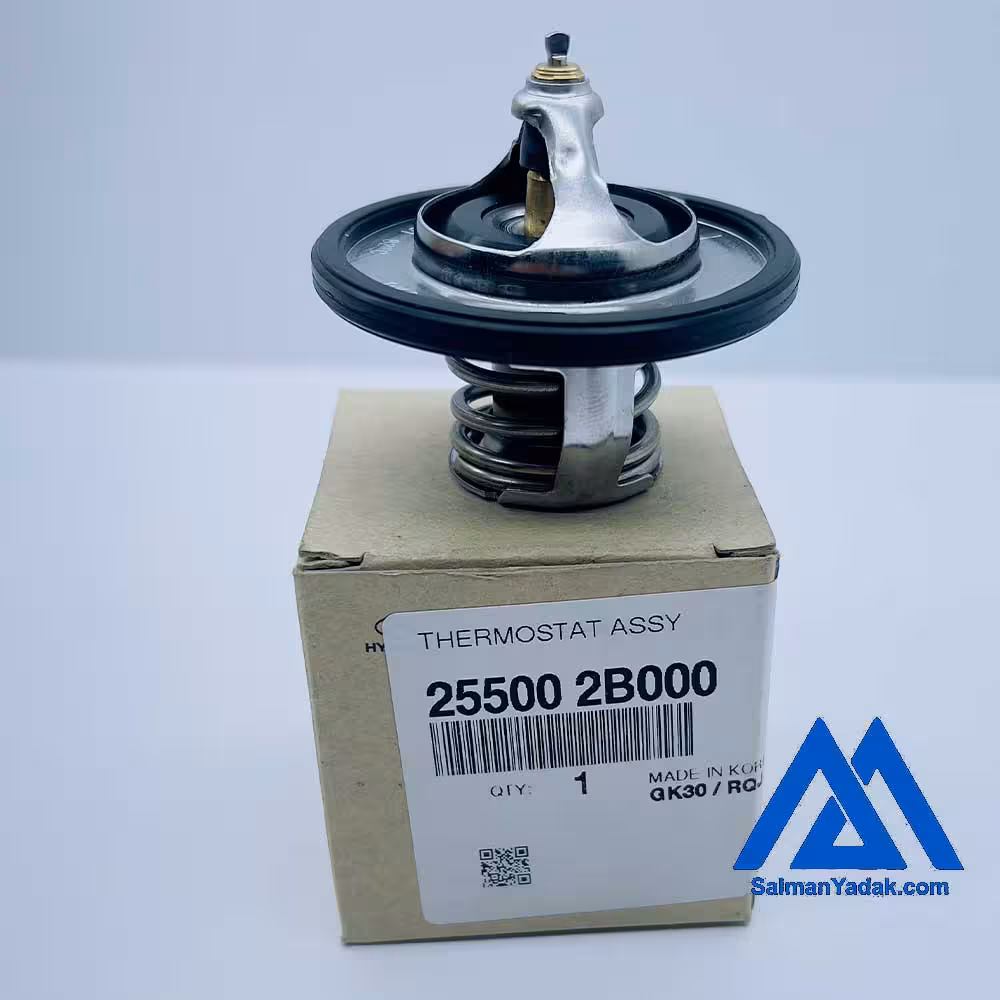 ترموستات جنیون 255002B000