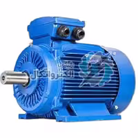 الکتروموتور چینی Delta سه فاز 10 اسب 3000 دور