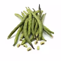 لوبیا ماشی ممتاز - 1 کیلوگرم