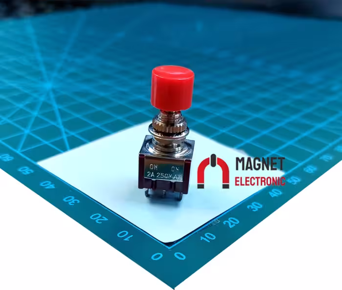 کلید شستی شاسی DS-622 ON-OFF PUSH BUTTON SWITCH