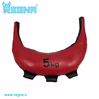 کیسه بلغاری 5 کیلوگرمی رگنا
