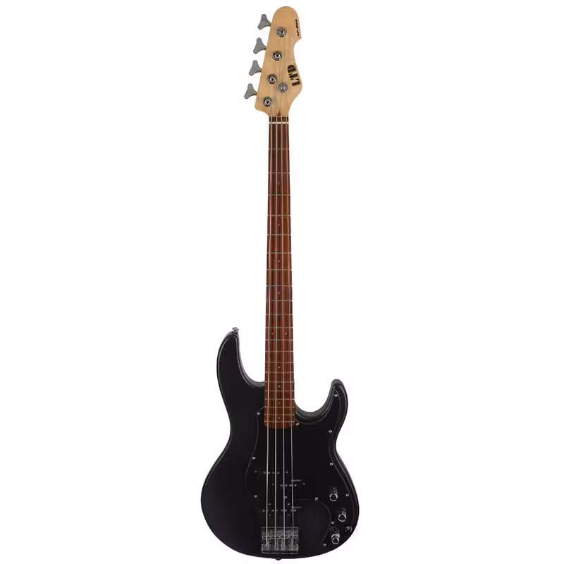 گیتار بیس ESP LTD AP-204 BLACK SATIN