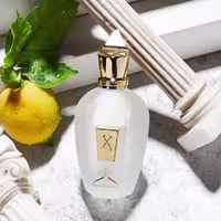 عطر ادکلن زرجف-زرجوف رنسانس اصل | Xerjoff Renaissance 100ml
