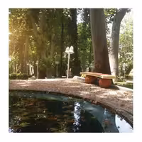 نیمکت قوسی دورا با پایه گوی