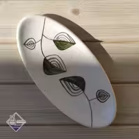 دیس بیضی سرویس پذیرایی رویش