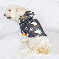 کاپشن سرهمی 2 تکه سگ و گربه مدل دایناسوری