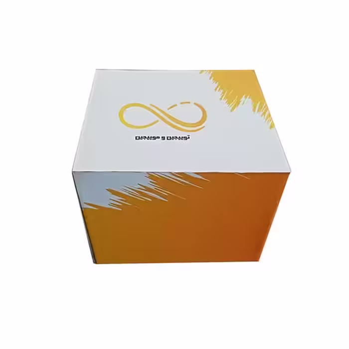 برچسب ایکس باکس 360 سوپر اسلیم توییجین وموییجین مدل MortalKombat 12 مجموعه 5 عددی