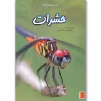 دنیای هیجان انگیز حشرات رزی دیکینز ترجمه صدرا صاحب فصول نشر نوشته