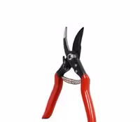 قیچی باغبانی لایت مدل JH-615