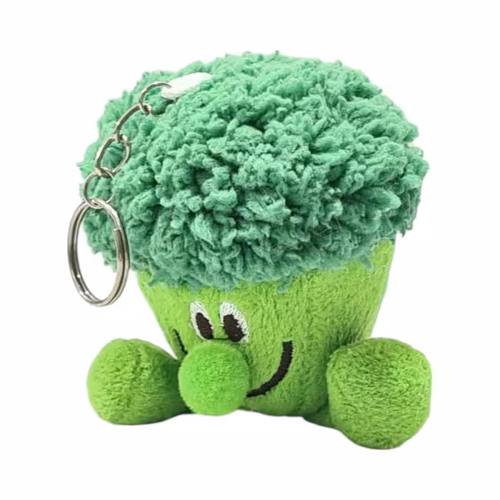 جاسوئیچی آویز بروکلى خارجی 48