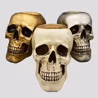 مجسمه جمجمه انسان