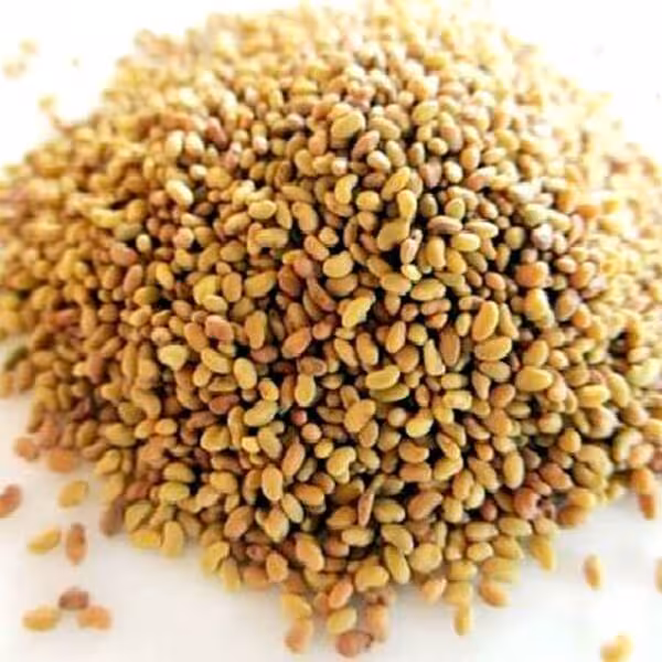 بذر یونچه  (100گرمی )