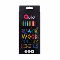 مداد رنگی رنگهای خاص 12 رنگ جعبه مقوايی کوییلو