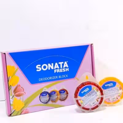 بوگیر سرویس سوناتا