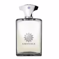 عطر ادکلن آمواج رفلکشن مردانه | Amouage Reflection man