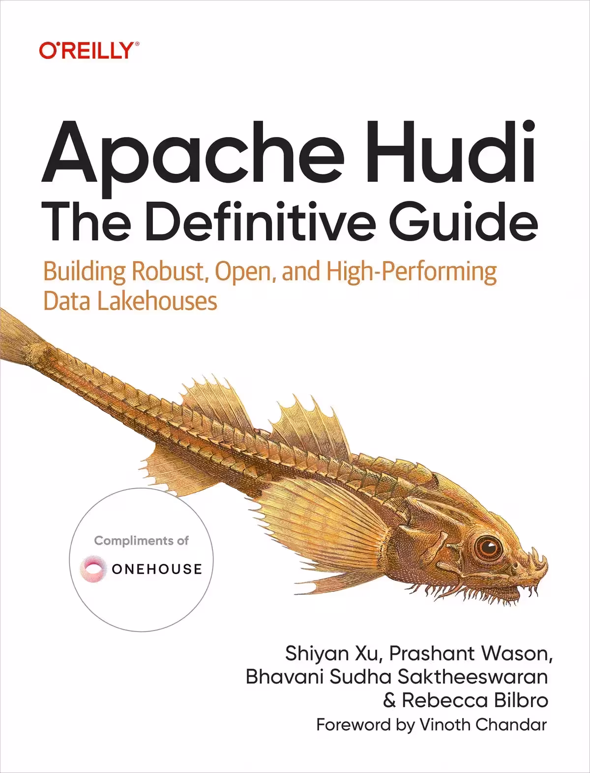 کتاب Apache Hudi: The Definitive Guide