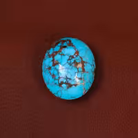 نگین فیروزه شجری کد 29519 - جواهری مشاهیر