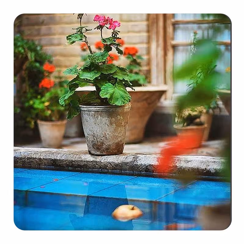 مگنت طرح گلدانهای شمعدانی و حوض قدیمی کد wmg2701