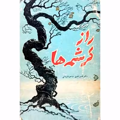 راز کرشمه ها