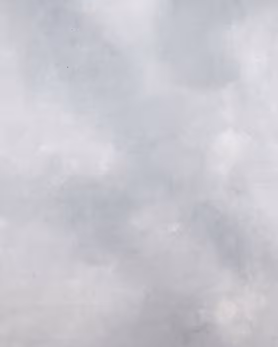 بک دراپ پارچه ای چاپی کد 102