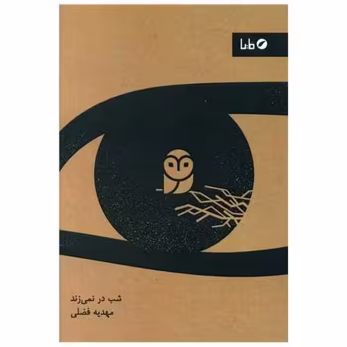 کتاب شب در نمی زند اثر مهدیه فضلی