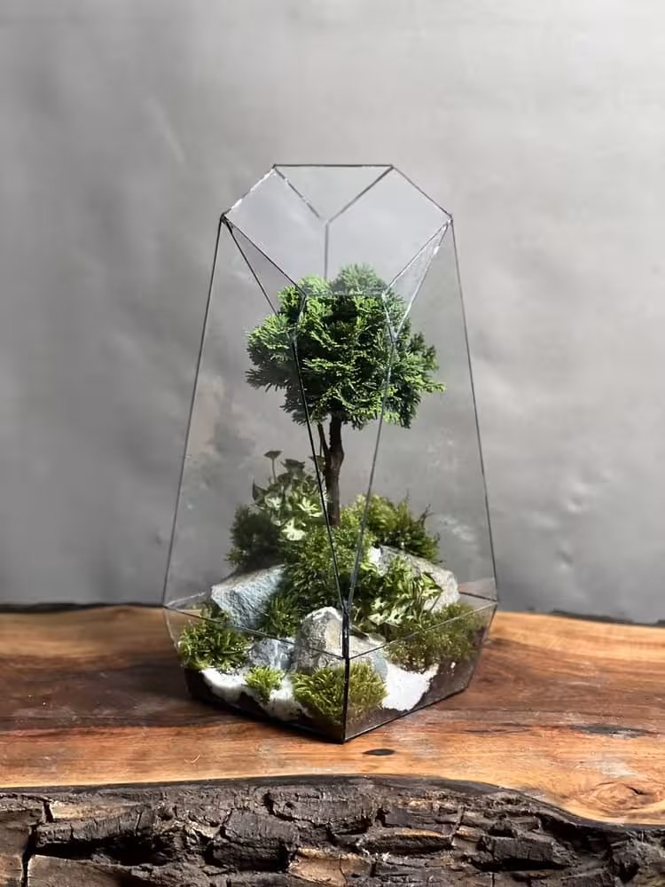 قیمت و خرید تراریوم بنسای نانا طرح فاکس 40 Cm