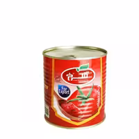 رب گوجه فرنگی گلرخ 800 گرمی