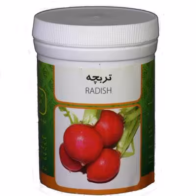 بذر تربچه رامان