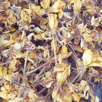 گل مغربی خشک و دستچین زرد و صورتی 100 گرمی