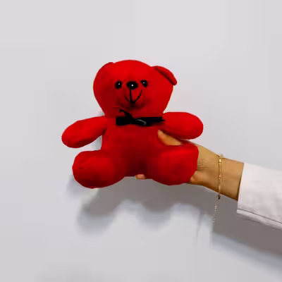 عروسک مدل خرس عاشق کد A16  ارتفاع 25 سانتی متر