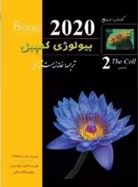 زیر ذره بین کمپبل (2) 2020 - کتاب‌فروشی کوچه کتاب