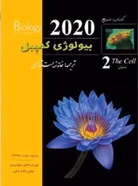زیر ذره بین کمپبل (2) 2020 - کتاب‌فروشی کوچه کتاب