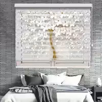 پرده زبرا زیو مدل TD 95 سایز 300x300 سانتی متر