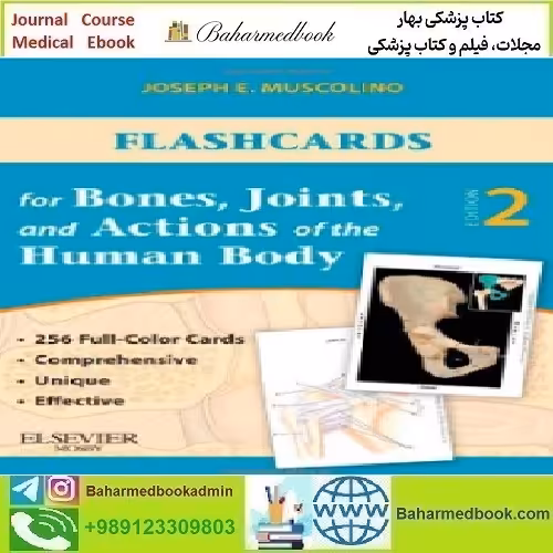 Flashcards for Bones Joints and Actions of the Human Body 2011