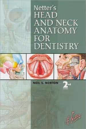 [PDF] دانلود کتاب Netter's Head And Neck Anatomy For Dentistry, 2nd ed, 2012
