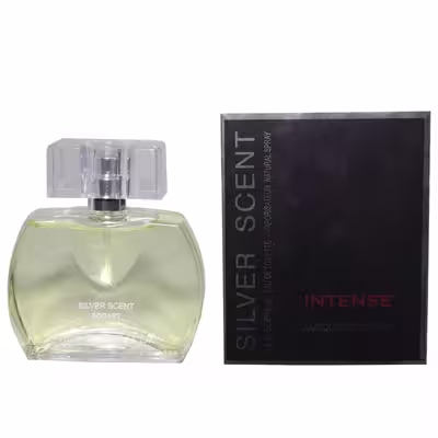ادو تویلت مردانه بوگارت مدل Silver Scent حجم 75 میلی لیتر
