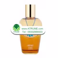 عطر ادکلن آرتیبل تصنیف تنبور 100 میل مردانه - زنانه