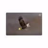 برچسب پوششی ماهوت مدل Eagle مناسب برای تبلت سامسونگ Galaxy Tab A7 10.4 LTE 2020 T505