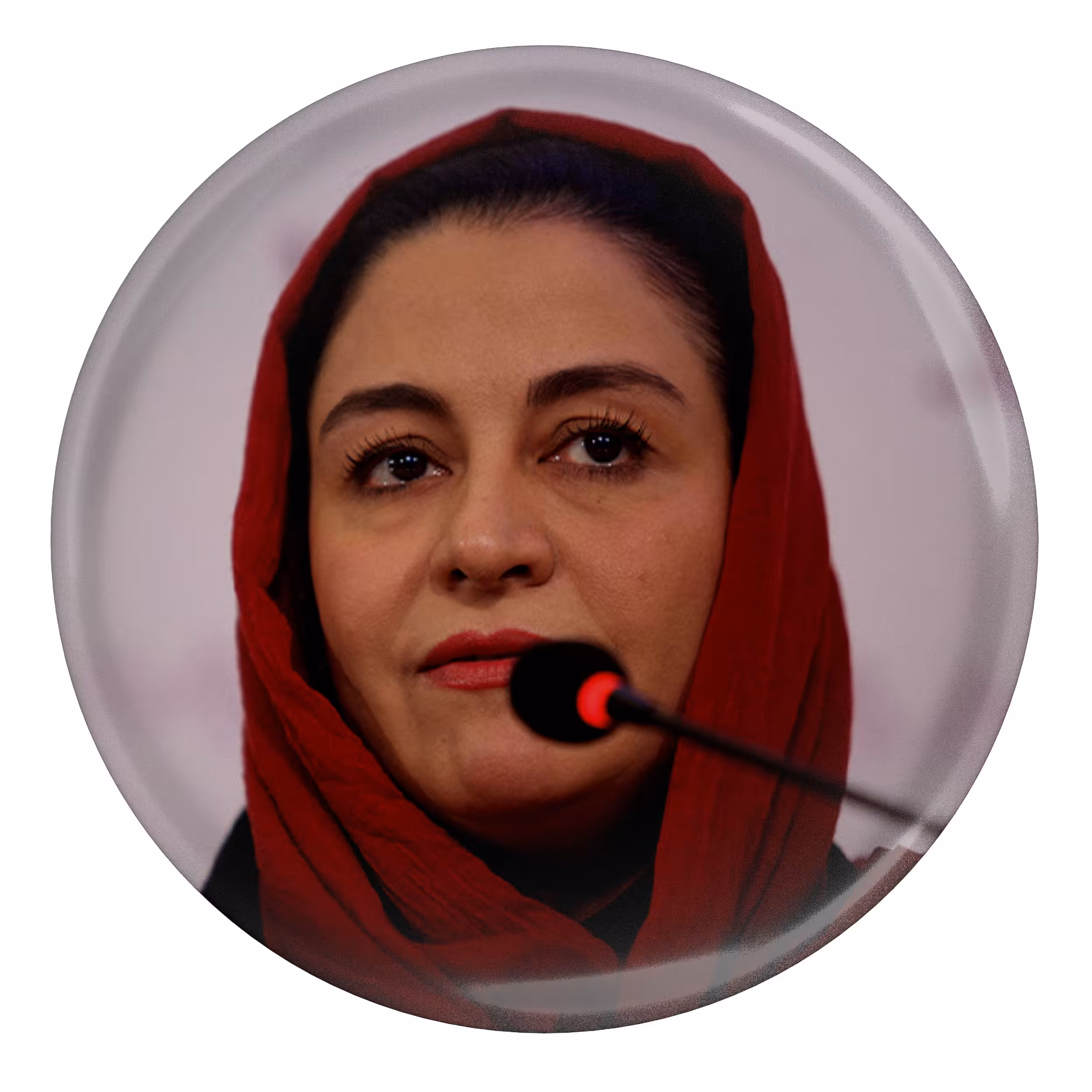 پیکسل طرح مریلا زارعی مدل S8795
