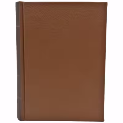 کتاب مادام بواری اثر گوستاو فلوبر انتشارات پارمیس