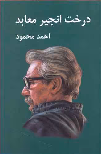 درخت‏ انجیر معابد (2جلدی)(شومیز)