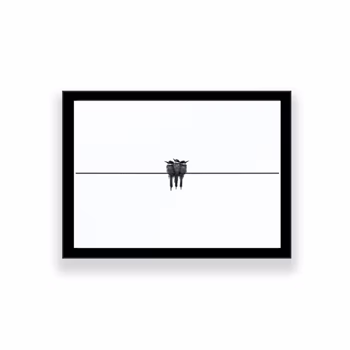 تابلو طرح مینیمال پرنده