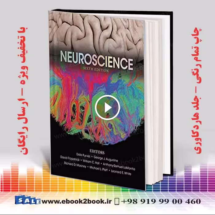 Purves Neuroscience 6th Edition | کتاب نوروساینس پروس